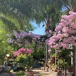 Maison Arci Giardini Naxos