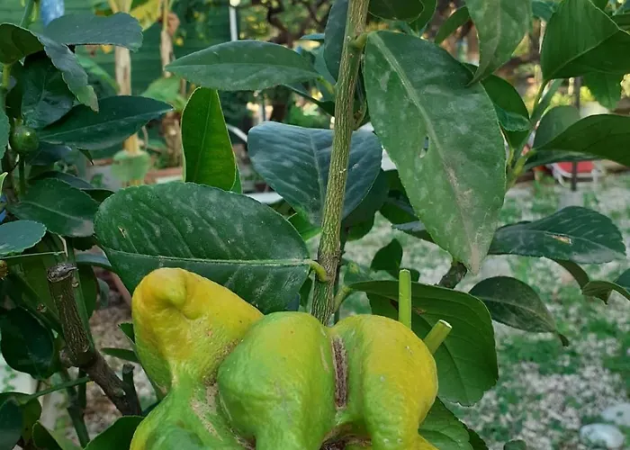 Holiday home Maison Arci